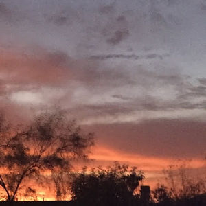 Meet your Posher, Cailin